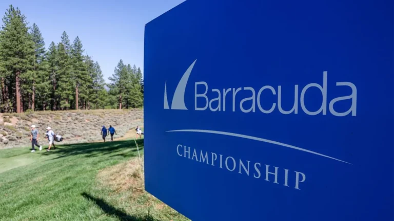 barracuda-networks-doubles-down-on-channel-strategy-with-major-partner-program-overhaul
