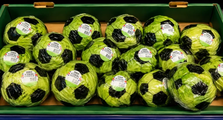 beyond-the-lettuce-how-print-service-providers-can-leverage-cultural-moments-for-growth