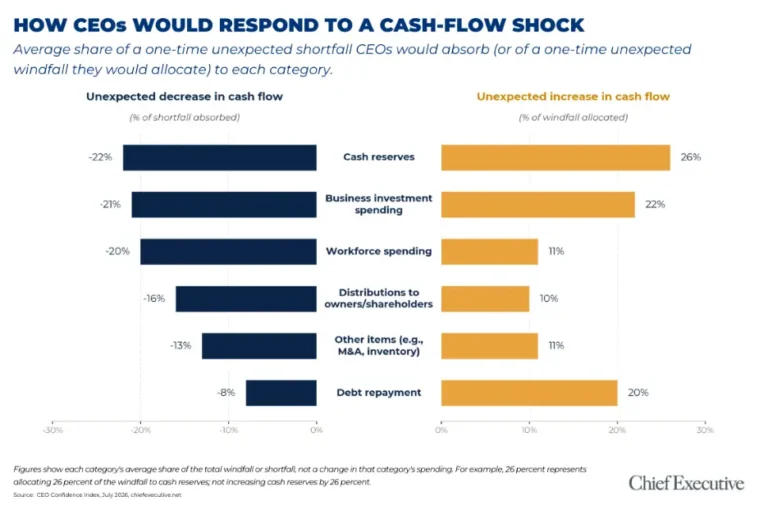 the-anatomy-of-instinct-how-ceos-navigate-liquidity-shocks