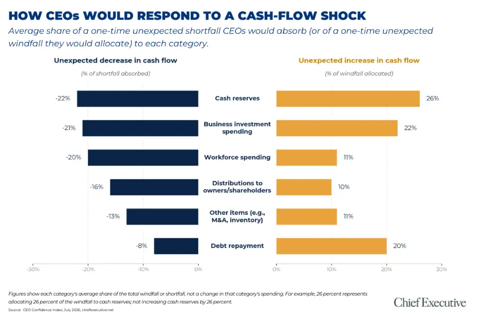 the-anatomy-of-instinct-how-ceos-navigate-liquidity-shocks