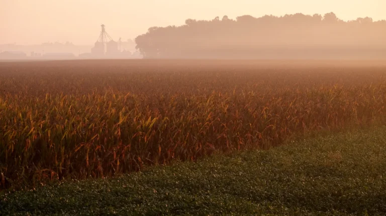 the-carbon-gold-rush-heartland-residents-fight-back-against-subsidized-sequestration