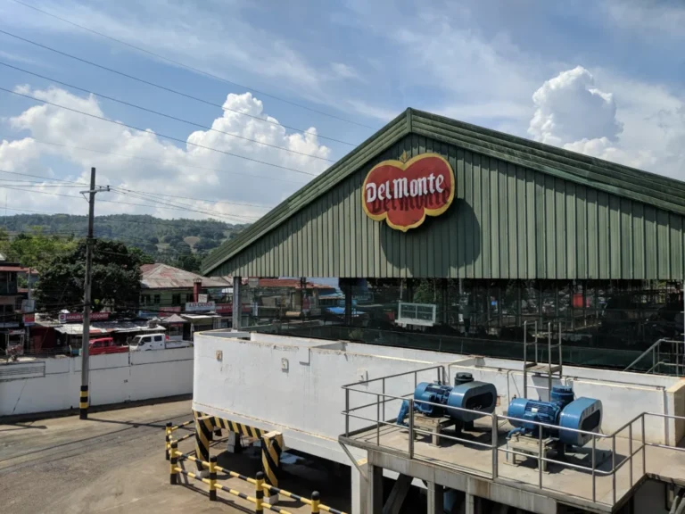 the-end-of-an-icon-del-monte-foods-files-for-chapter-11-amidst-perfect-storm-of-economic-pressures
