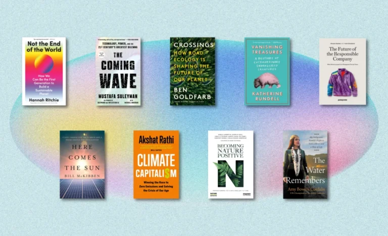 the-evolving-canon-of-sustainability-from-silent-spring-to-the-age-of-implementation