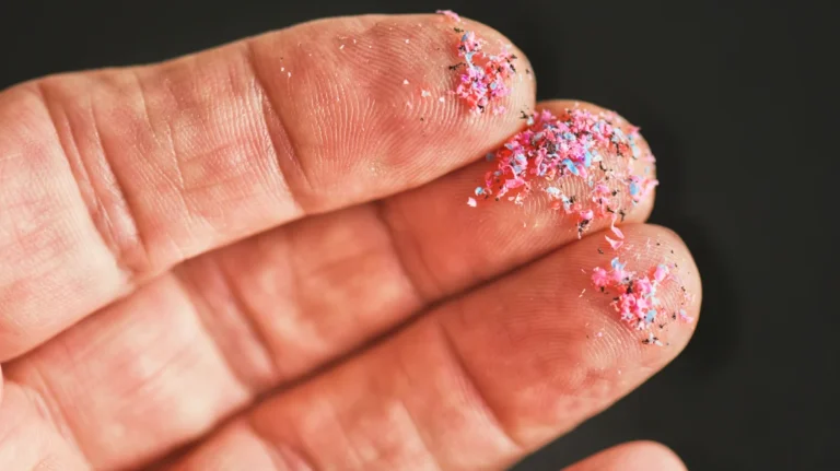 the-invisible-invasion-why-we-are-still-learning-the-true-cost-of-microplastics