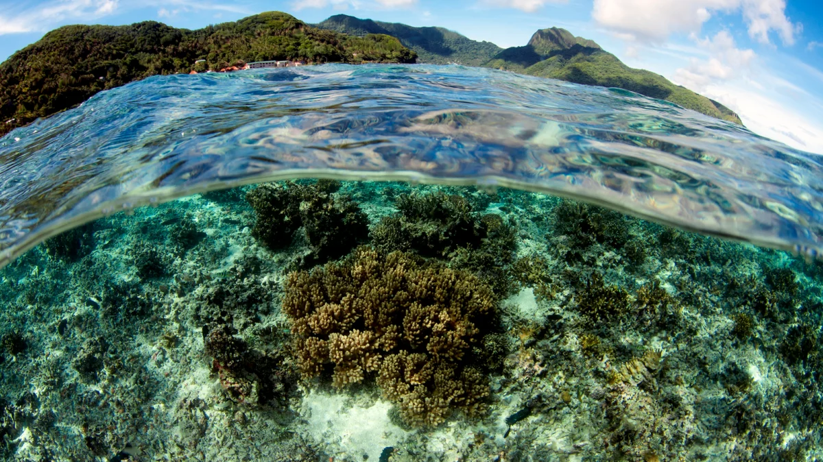 the-pacific-front-trump-administrations-deep-sea-mining-push-sparks-global-outcry