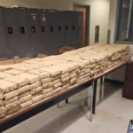 border-enforcement-success-20-million-cocaine-seizure-highlights-risks-in-commercial-freight