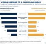 the-anatomy-of-instinct-how-ceos-navigate-liquidity-shocks-in-an-unpredictable-economy