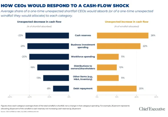 the-anatomy-of-instinct-how-ceos-navigate-liquidity-shocks-in-an-unpredictable-economy
