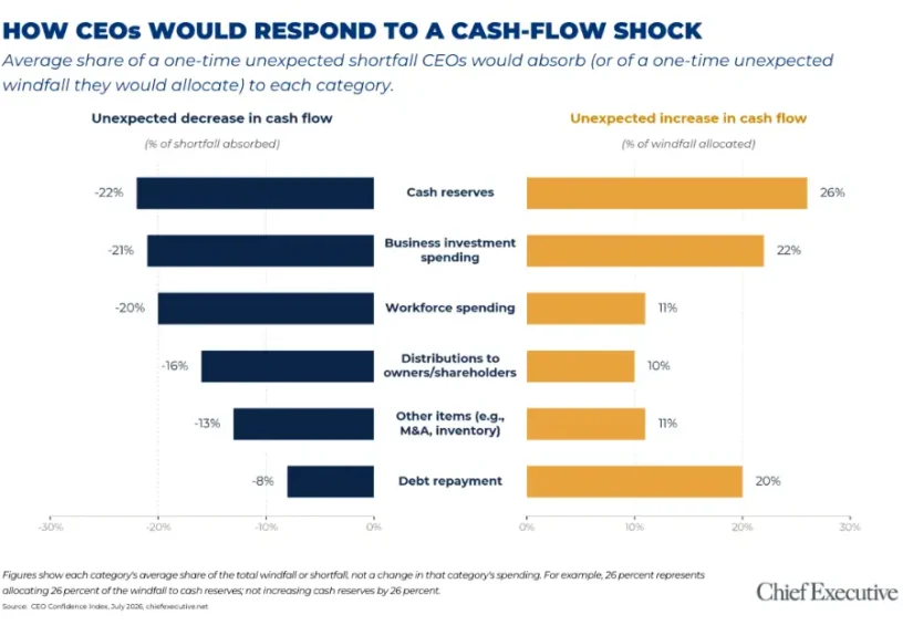 the-anatomy-of-instinct-how-ceos-navigate-liquidity-shocks-in-an-unpredictable-economy