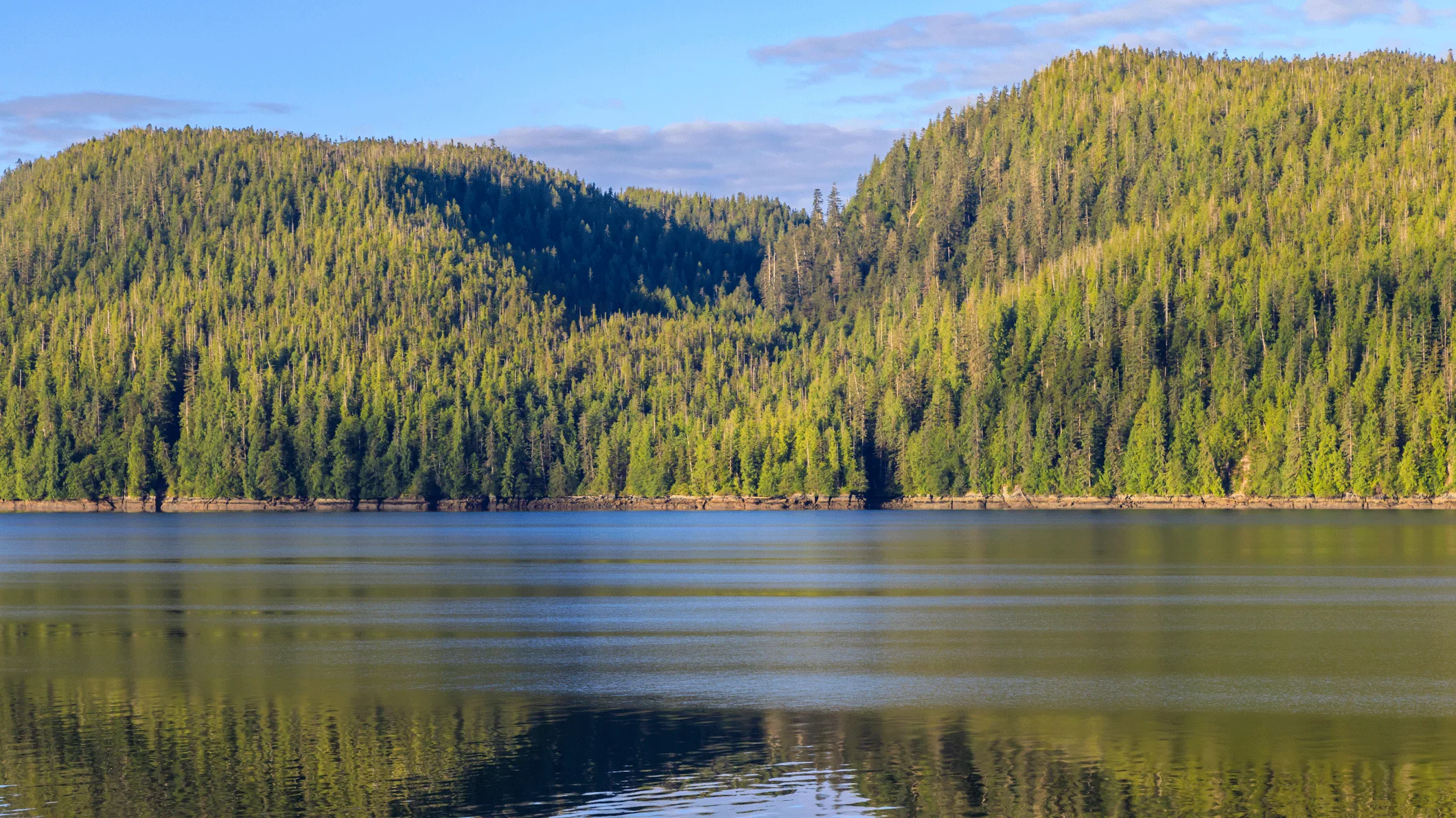 the-battle-for-the-backcountry-trump-administration-moves-to-rescind-historic-roadless-rule-1