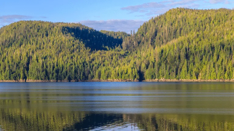 the-battle-for-the-backcountry-trump-administration-moves-to-rescind-historic-roadless-rule