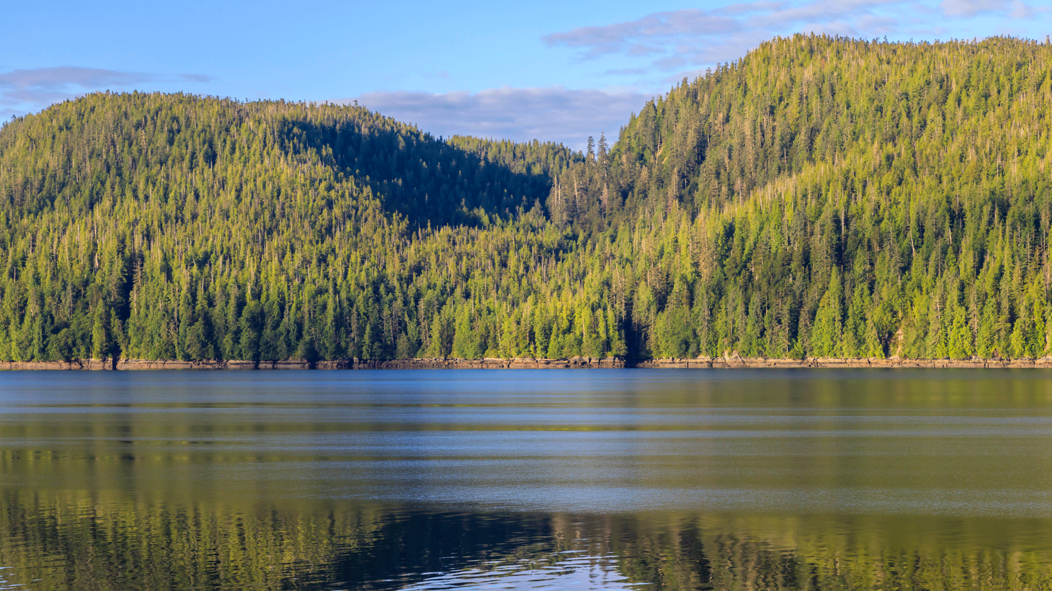 the-battle-for-the-backcountry-trump-administration-moves-to-rescind-historic-roadless-rule