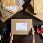 the-dropshipping-revolution-a-comprehensive-guide-to-modern-e-commerce-fulfillment