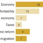 the-great-divide-mapping-american-voter-alignment-across-key-policy-domains