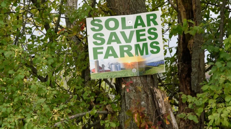 the-solar-agriculture-conflict-debunking-myths-in-the-rural-energy-transition