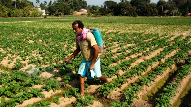 a-global-silent-epidemic-nearly-half-of-the-worlds-farmers-poisoned-by-pesticides-annually