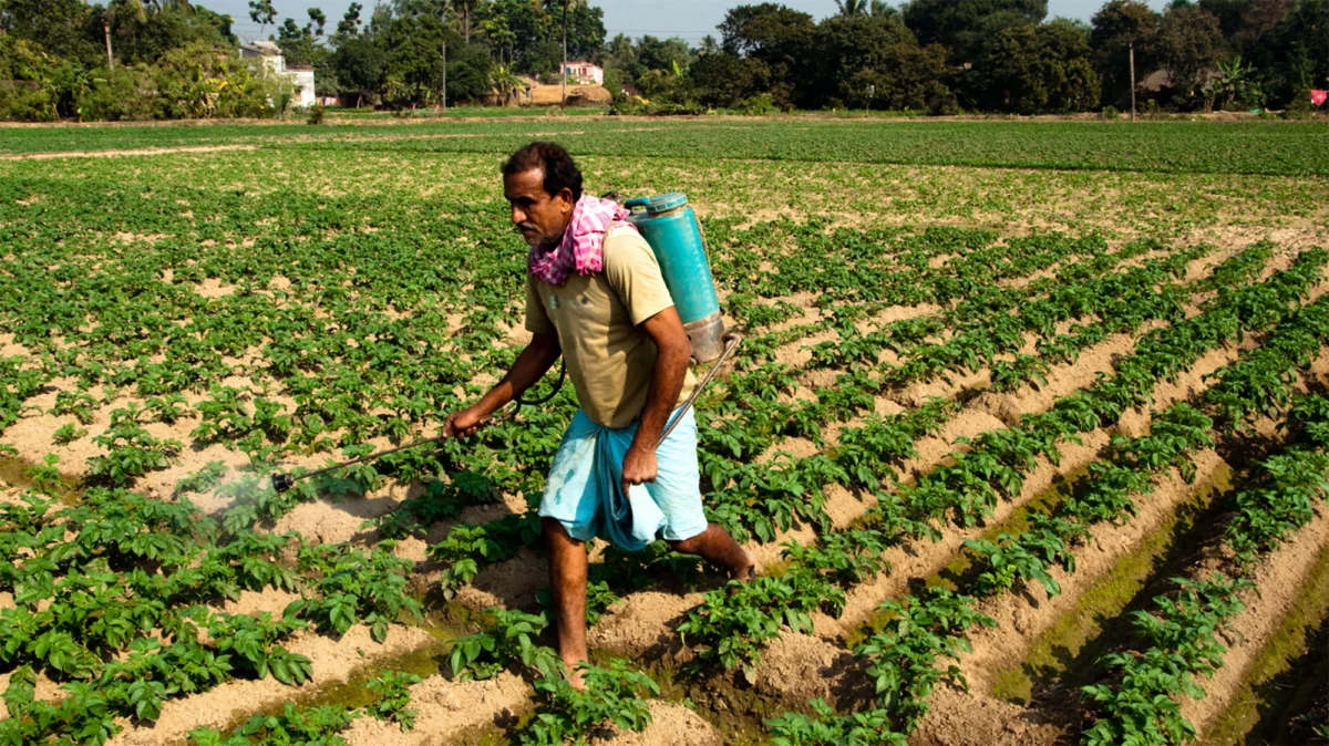 a-global-silent-epidemic-nearly-half-of-the-worlds-farmers-poisoned-by-pesticides-annually