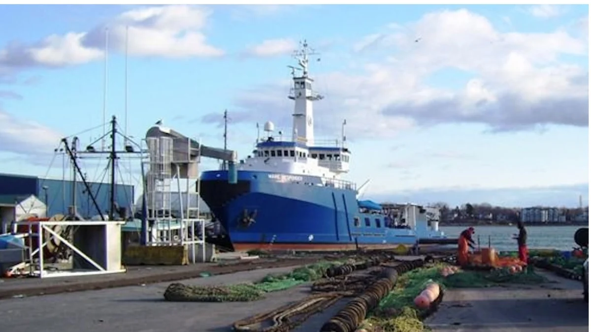 portlands-port-expansion-a-strategic-leap-into-cold-chain-logistics