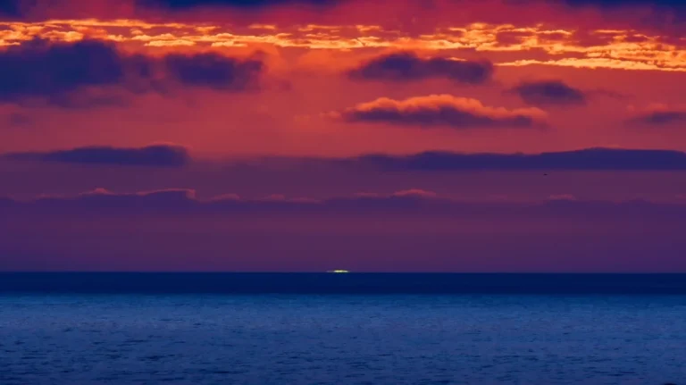 the-fevered-ocean-how-marine-heat-waves-are-rewriting-the-rules-of-life-beneath-the-waves