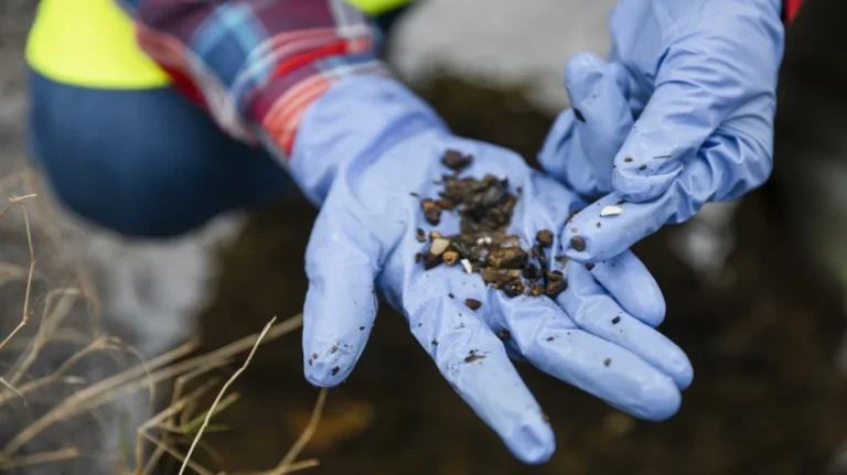the-invisible-crisis-beneath-our-feet-how-microplastics-are-turning-soil-into-a-trojan-horse-for-toxins
