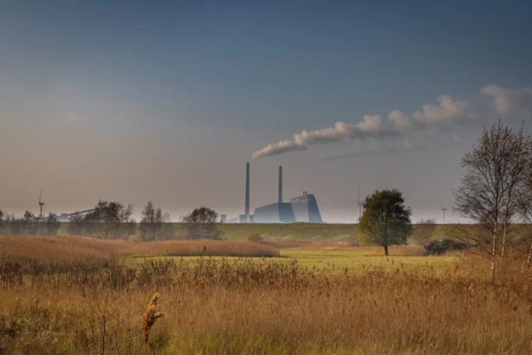 the-microsoft-carbon-paradox-scaling-removal-in-the-shadow-of-the-ai-boom