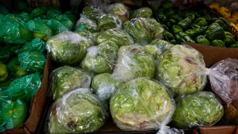 the-unseen-threat-how-the-summer-of-cyclospora-exposed-deep-flaws-in-americas-food-system