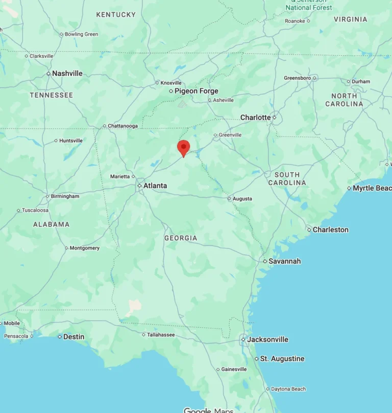 walmarts-1-3-billion-strategic-pivot-a-deep-dive-into-the-carnesville-fulfillment-hub