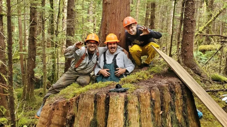 engineering-survival-the-haida-nations-radical-effort-to-house-coastal-black-bears
