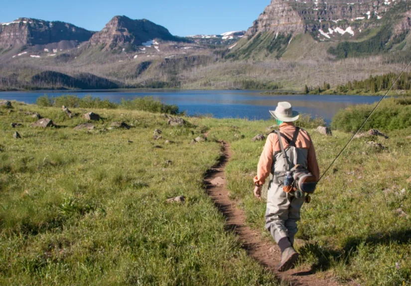 the-ballot-box-battle-for-the-wild-how-2026-measures-are-redefining-american-conservation