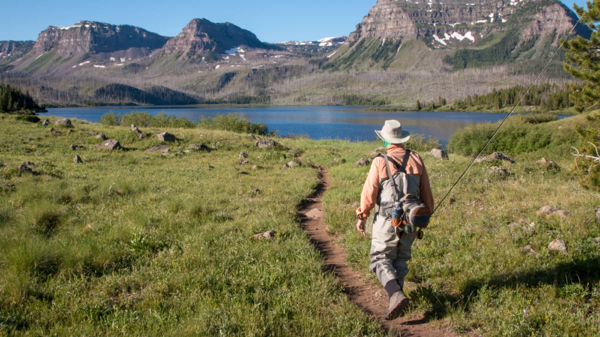 the-ballot-box-battle-for-the-wild-how-2026-measures-are-redefining-american-conservation