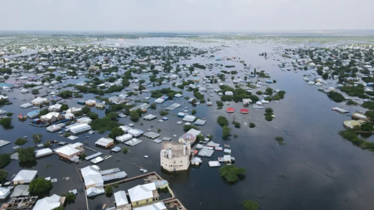 the-weaponization-of-nature-somalias-humanitarian-catastrophe-in-the-shadow-of-war-and-el-nino